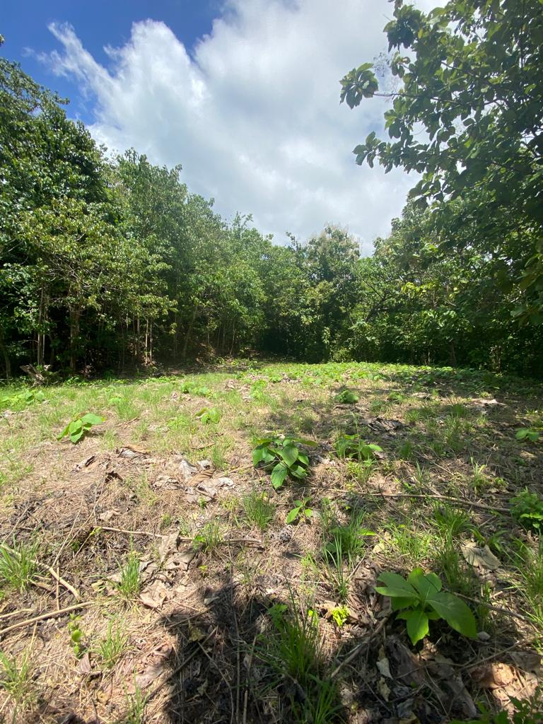 Ocean View Lot in Punta Islita! — photo 1